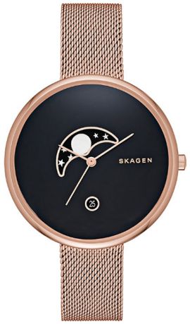 Skagen Женские датские наручные часы Skagen SKW2371