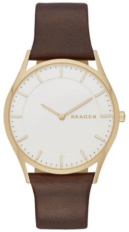 Skagen Мужские датские наручные часы Skagen SKW6225
