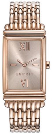 Esprit Женские американские наручные часы Esprit ES108492003