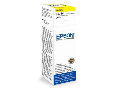 Epson T6734