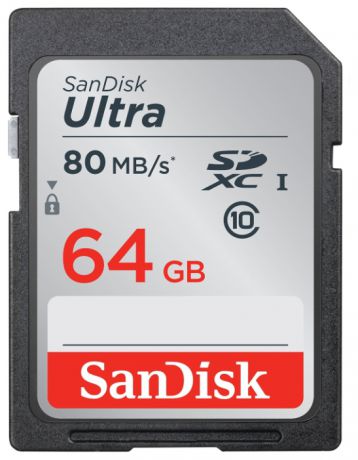 SanDisk SDHC 64GB Class10