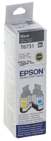 Epson T6731