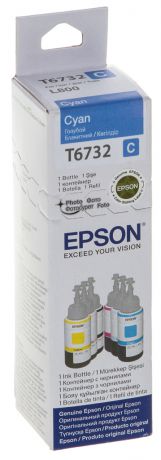 Epson T6732