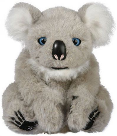 Alive Koala Joey
