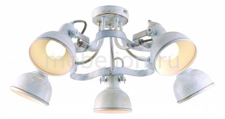 Arte Lamp Martin A5216PL-5WG