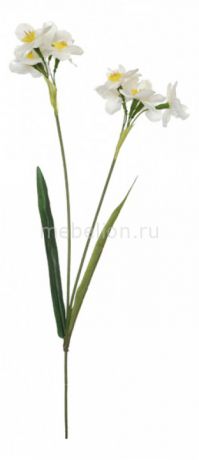 Home-Religion Цветок (65 см) Нарцисс 58019200