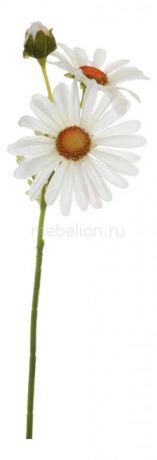 Home-Religion Цветок (40 см) Ромашка 58015900