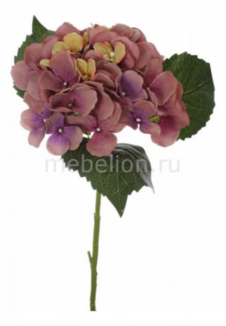 Home-Religion Цветок (40 см) Гортензия 58017200