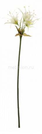 Home-Religion Цветок (80 см) Лилия кучерявая 58016900