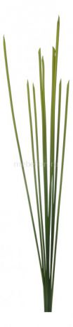 Home-Religion (105 см) Бамбуковый куст 58002700