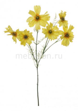 Home-Religion Цветок (65 см) Космея 56005600