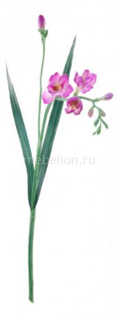 Home-Religion Цветок (60 см) Фрезия 56004900