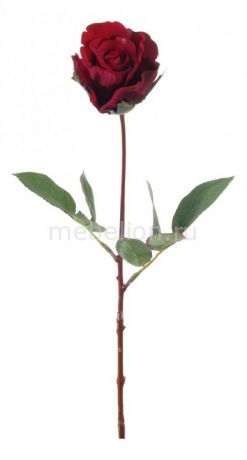 Home-Religion Цветок (68 см) Роза 56006200