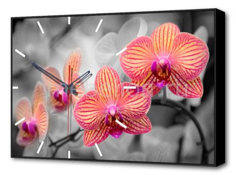 Brilliant (60х37 см) Орхидеи BL-2202