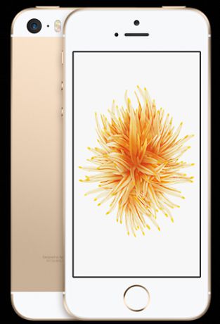 Телефон Apple iPhone SE 16GB A1723 (Gold)