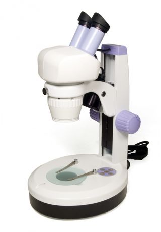 Микроскоп Levenhuk (Левенгук) 5ST, бинокулярный