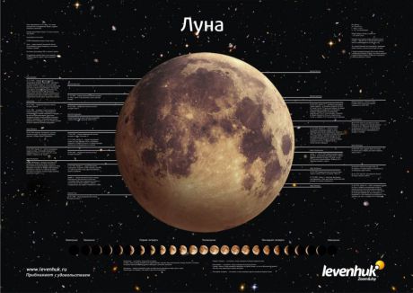 Постер Levenhuk (Левенгук) «Луна»