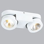 Cпот (точечный светильник) Donolux DL18699/12WW-White