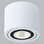 Cпот (точечный светильник) Donolux DL18700/11WW-White