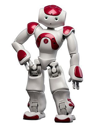 NAO H25 Evolution V5