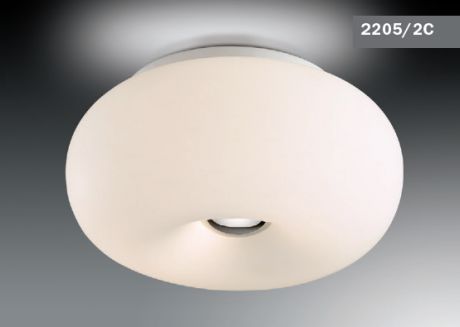 Потолочный светильник Odeon Pati 2205/2C
