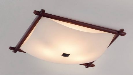 Потолочный светильник Citilux Белый Рамка CL931112