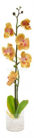 Feron Орхидея PL307 06262