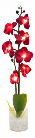 Feron Орхидея PL307 06260