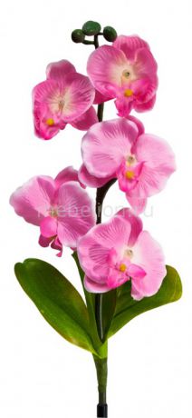 Feron Орхидея PL301 06257
