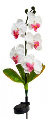 Feron Орхидея PL301 06258