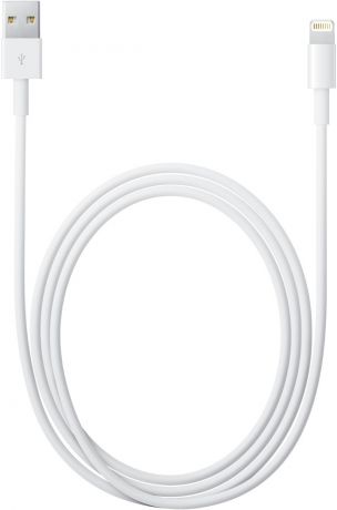 Apple (MD819ZM/A) Lightning to USB Cable 2 m White